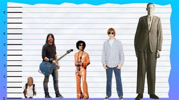 How Tall Is Dave Grohl? Height Comparison! YouTube