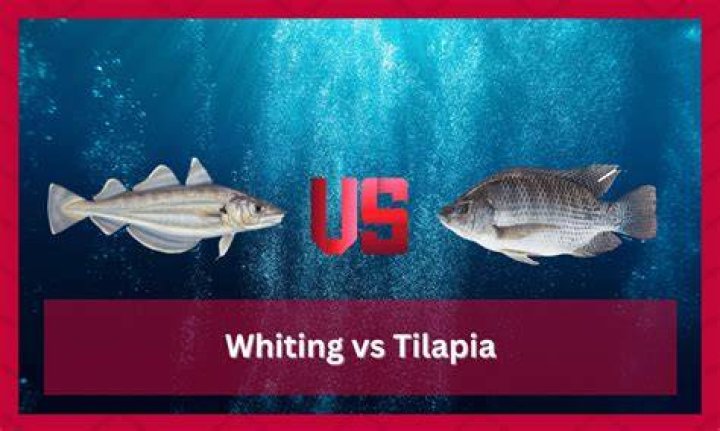 Unveiling The Secrets: Whiting Vs Tilapia